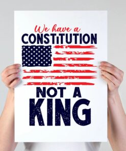 No Kings Protest Signs,We Have a Constitution,Anti-Trump Posters,Political Activist Rally Sign,Political Demonstration,Resist Fascism Poster