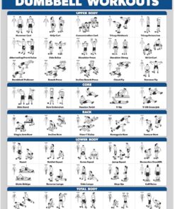 Palace Learning Dumbbell Workout Exercise Poster - Free Weight Body Building Guide, Home Gym canvas