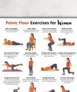 Pelvic Floor Exercises for Women, Kegel Workout Chart, Health & Wellness Art