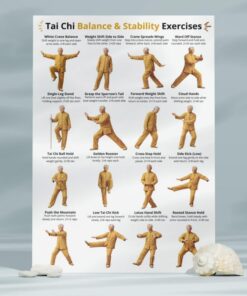 Tai Chi Balance & Stability Poster, Older Adults Exercise Chart, Standing Tai Chi Wall Art