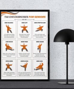Tai Chi Exercises for Seniors Poster, Senior Workout Chart, Balance & Mobility Wall Art
