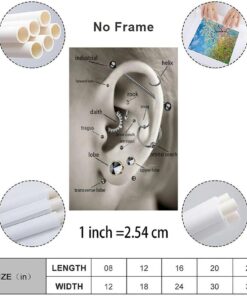 Ear Piercing Chart Poster, Helix, Tragus, Daith, Rook Anatomy Guide Wall Art