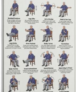 Tai Chi Chair Workout Poster 16 Gentle Exercises for Balance and Mobility Wall Art