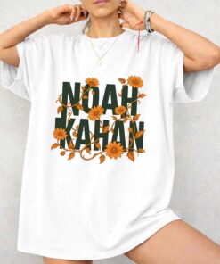 Noah Divide Tour 2026 Shirt, On Stage Vintage Comfort Colors Tee